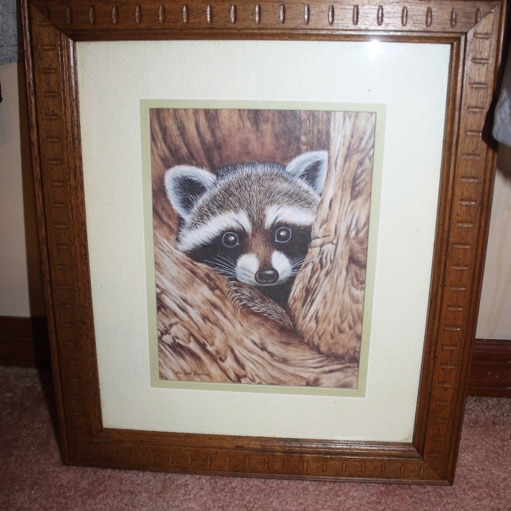 RACCOON BY KAY LAMB SHANNON(MED)